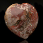 Hand-Carved Petrified Wood Heart // 9 Lb.