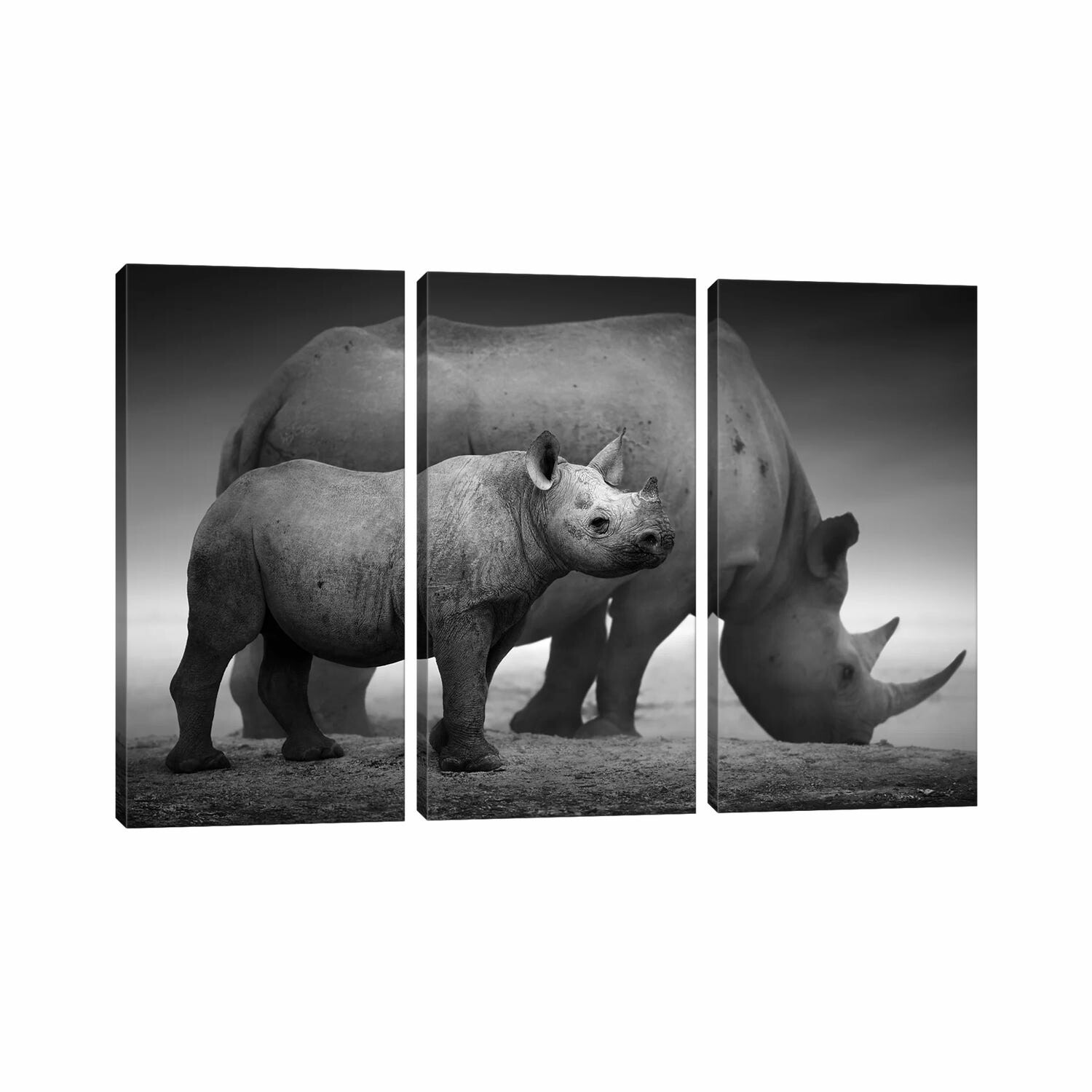 Black Rhino Calf And Cow by Johan Swanepoel - Animal Triptychs - Touch ...