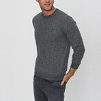 Louis Crewneck Sweatshirt // Gray (S)