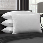 Luxury Plush Allergy Resistant Fiber Filled Pillow // Set of 4 (Standard)