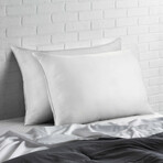 Overstuffed Plush Allergy Resistant Gel Filled Side/Back Sleeper Pillow // Set of 2 (Standard)