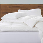 Soft Luxury Plush Stomach Sleeper Pillow // Set of 2 (Standard)