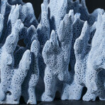 Genuine Blue Ridge Coral // 2.7lb