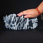 Genuine Blue Ridge Coral // 2.7lb