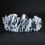 Genuine Blue Ridge Coral // 2.7lb