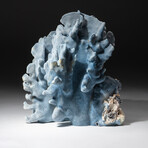 Genuine Blue Ridge Coral // 5.4lb