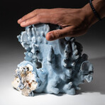 Genuine Blue Ridge Coral // 5.4lb