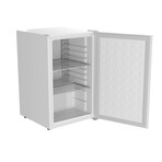 Countertop Mini Fridge // Solid Door // White // 65L