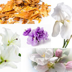 Candles - Tobacco & Leather, Oud & Bergamote, Muscs Poudres // 3 x 60 g // Clear