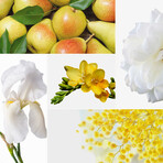 Candle - Mimosa-Poire 280 g // Clear