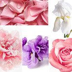 Candle - Rose Pivoine 280 g // Black