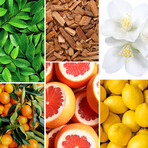 Candle - Lemon Verbena 580 g // White