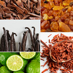 Candles - Delice d'Orient, Safran – Ambre Noir, Black Woods // 3 x 60 g // Clear