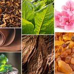 Candles - Tobacco & Leather, Oud & Bergamote, Muscs Poudres // 3 x 60 g // Clear