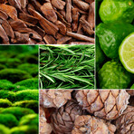 Candle - Oud & Bergamote 280 g // White