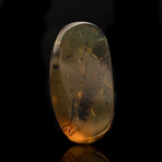 Burmese Amber With Feather // 2.63 Grams