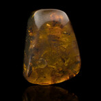 Burmese Amber Medley // 25.54 Grams