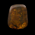 Burmese Amber Medley // 25.54 Grams