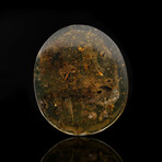 Burmese Amber With Snail Shell // 7.61 Grams