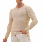 0369 Tailor Fit Crewneck Sweater // Beige (M)