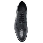 Regan Wingtip Derby // Black (US: 9.5)