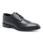 Regan Wingtip Derby // Black (US: 9.5)