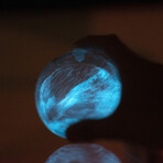Bioluminescent Bio-Orb