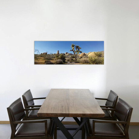 Spring Landscape I, Joshua Tree National Park, California, USA by Panoramic Images (12"H x 36"W x 1.5"D)