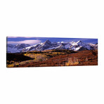 Mountains Covered with Snow and Fall Colors, near Telluride, Colorado, USA // Panoramic Images (12"H x 36"W x 1.5"D)