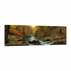 Fall Trees Kitchen Creek PA by Panoramic Images (12"H x 36"W x 1.5"D)