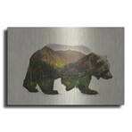 North American Brown Bear by Davies Babies (12"H x 16"W x 0.13"D)