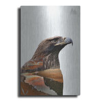 Eagle by Clean Nature (16"H x 12"W x 0.13"D)