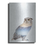 Snow Owl I by Clean Nature (16"H x 12"W x 0.13"D)