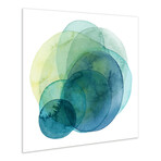Evolving Planets IV Frameless // Free Floating Tempered Art Glass Wall Art by EAD Art Coop (Evolving Planets 1)
