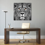King of the Jungle & Eye of the Tiger // Frameless Printed Tempered Art Glass (King of the Jungle + Eye of the Tiger)