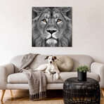 King of the Jungle & Eye of the Tiger // Frameless Printed Tempered Art Glass (King of the Jungle  Only)