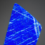 Genuine Polished Lapis Lazuli Freeform V.2