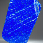 Genuine Polished Lapis Lazuli Freeform V.2