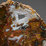 Natural Lace Agate Slice on Wooden Stand