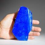 Genuine Polished Lapis Lazuli Freeform V.3