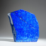 Genuine Polished Lapis Lazuli Freeform V.4