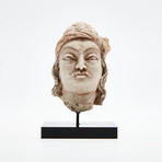 Exceptional Indus Valley Head // 4th - 5th Century AD