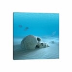 Skull On Sandy Ocean Bottom With Small Fish Cleaning Some Bones by Johan Swanepoel (18"H x 18"W x 0.75"D)
