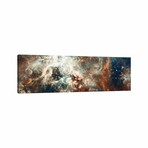 Stardust Flare by NASA (16"H x 48"W x 0.75"D)