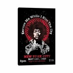 Jimi Hendrix Experience 1969 U.S. Tour At Madison Square Garden Tribute Poster by Radio Days (26"H x 18"W x 0.75"D)