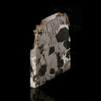 Seymchan Meteorite Slice // 18.12 Grams