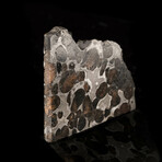 Seymchan Meteorite Slice // 18.75 Grams