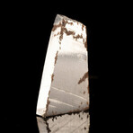 Cape of Good Hope Meteorite // 10.29 Grams