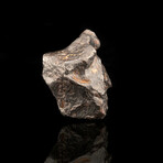 Canyon Diablo Meteorite // 45.96 Grams