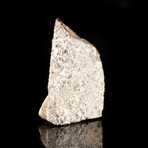 Millbillillie Meteorite // 3.09 Grams